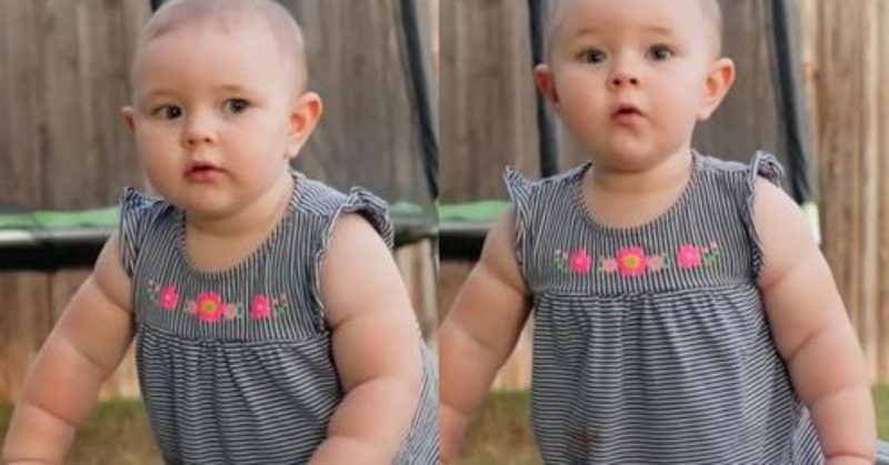 Bébé se dispute avec papa: Elle est tellement mignonne qu’on a envie de la câliner toute la journée