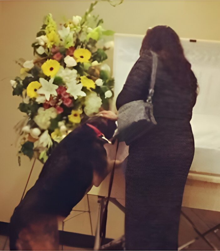 La famille est sous tension lorsque le chien du propriétaire regarde dans le cercueil et semble faire une révélation choquante