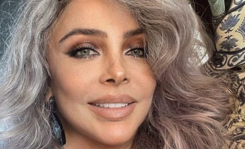 À quoi ressemble Veronica Castro à 69 ans, et comment se porte « Wild Rose » aujourd’hui : ( photos )