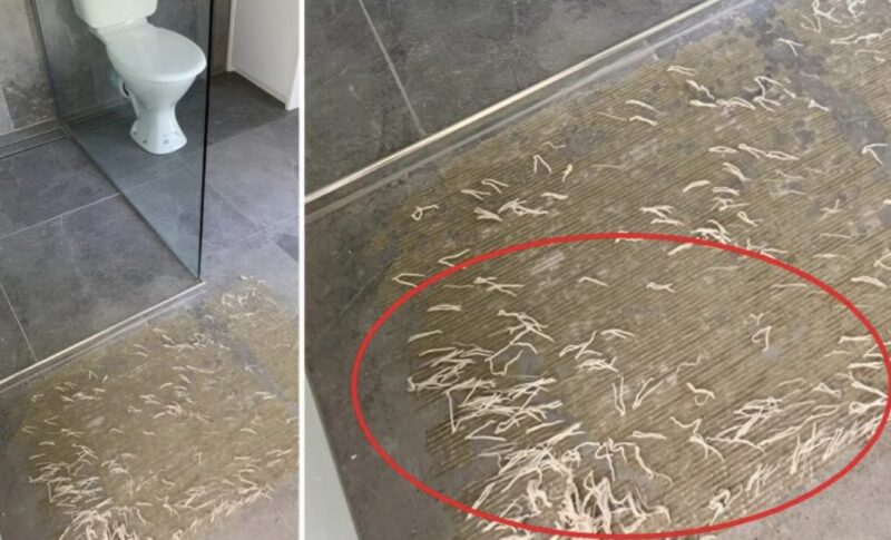 J’ai découvert quelque chose d’étrange sur le sol de ma salle de bain, et la vérité derrière cette trouvaille m’a profondément surprise