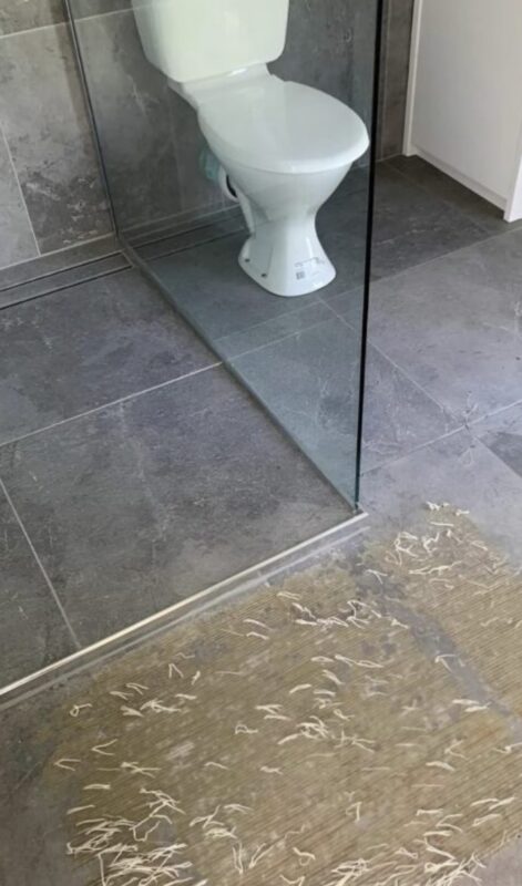 J’ai découvert quelque chose d’étrange sur le sol de ma salle de bain, et la vérité derrière cette trouvaille m’a profondément surprise