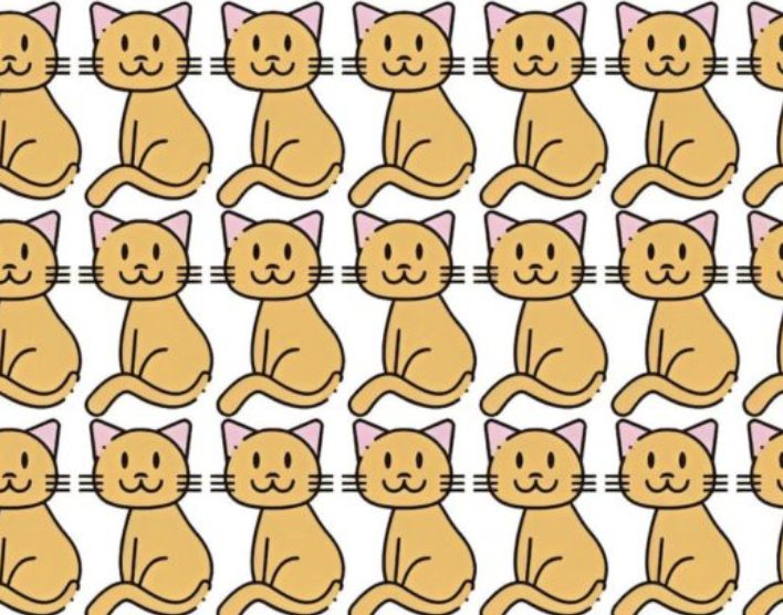Pouvez-vous trouver le chat différent parmi les autres: L’image complète se trouve dans le premier commentaire
