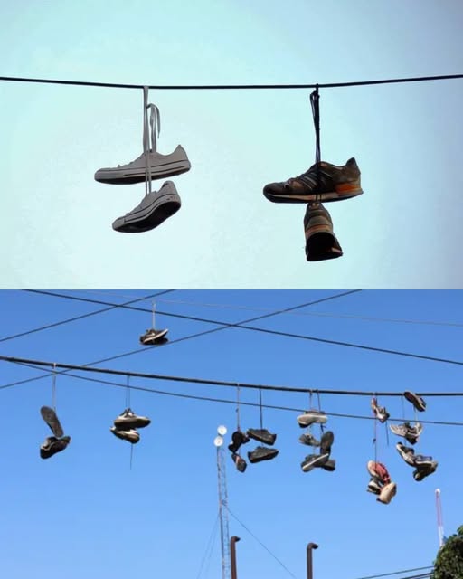 "Baskets suspendues aux fils électriques : un simple jeu ou un message caché "