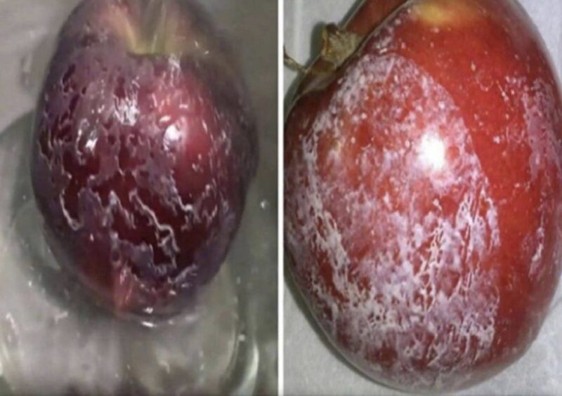 Oh mon Dieu, c’est choquant: Avez-vous déjà réfléchi à la sécurité des pommes que vous consommez