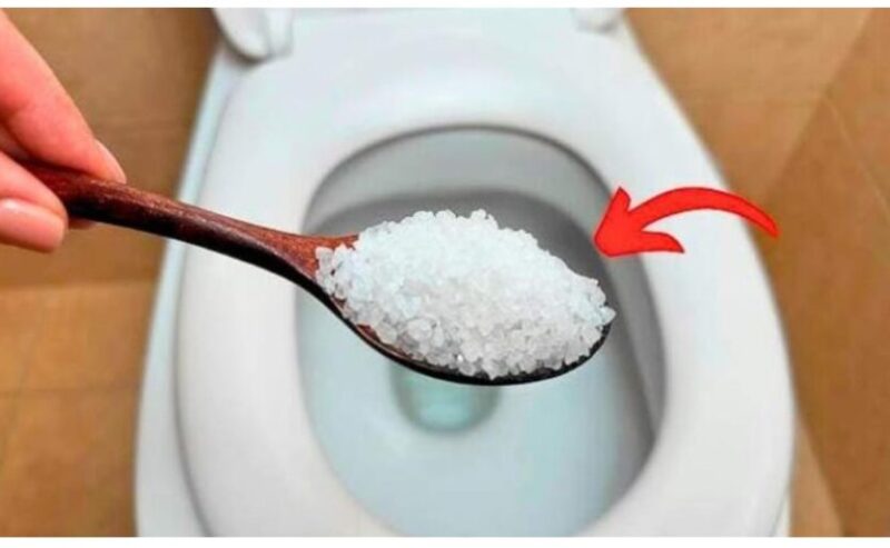 Découvrez l’astuce de ma grand-mère pour une toilette propre fraîche et écologique grâce au gros sel