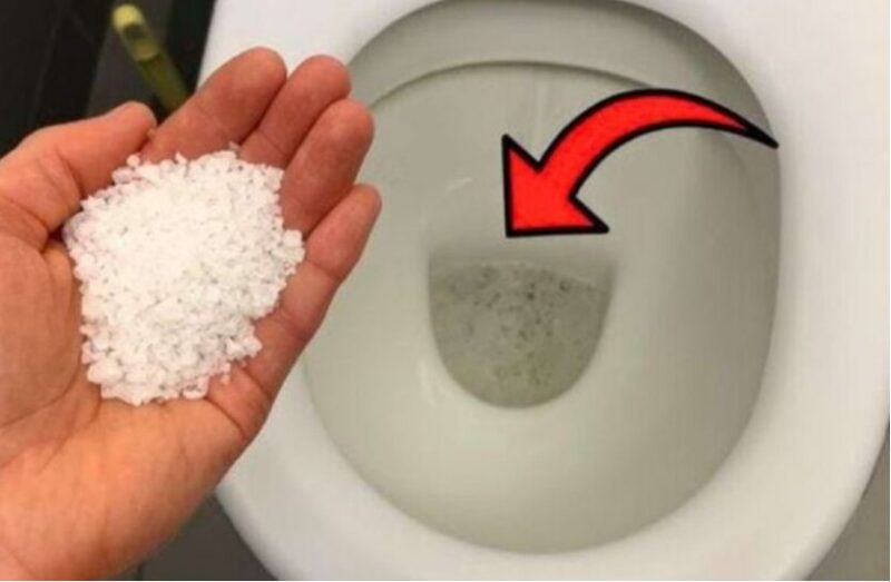 Découvrez l’astuce de ma grand-mère pour une toilette propre fraîche et écologique grâce au gros sel