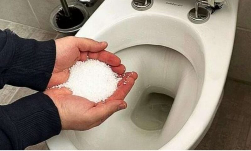 Découvrez l’astuce de ma grand-mère pour une toilette propre fraîche et écologique grâce au gros sel