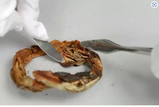 Une trouvaille bouleversante dans une tasse vieille de plusieurs décennies