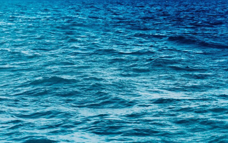 Les pirates ont remarqué quelque chose d’étrange dans l’eau ։ En s’approchant, ils ont découvert quelque chose d’incroyable qui a frappé tout le monde
