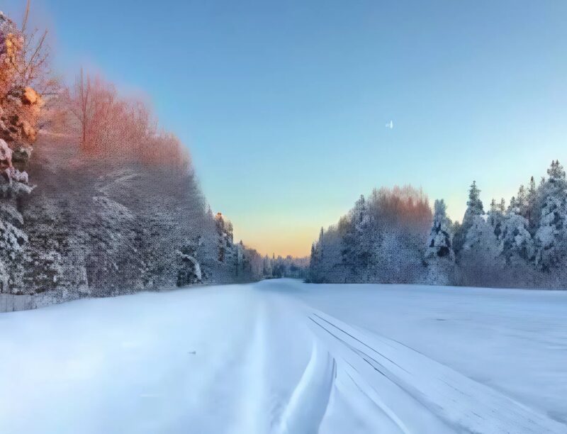 Les parents, laissés sans attention par leurs enfants, ont continué à vivre dans la forêt, mais ce qui leur est arrivé dès les premiers jours a choqué tout le monde